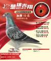 图片暂时未上传