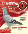 图片暂时未上传