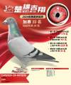 图片暂时未上传