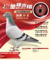 图片暂时未上传