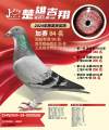 图片暂时未上传