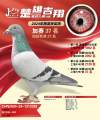 图片暂时未上传