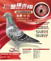 图片暂时未上传