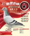 图片暂时未上传