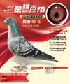 图片暂时未上传