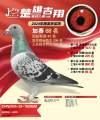 图片暂时未上传