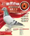 图片暂时未上传