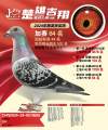 图片暂时未上传