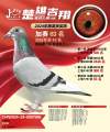 图片暂时未上传