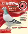 图片暂时未上传