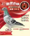 图片暂时未上传