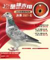 图片暂时未上传