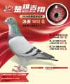 图片暂时未上传