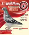 图片暂时未上传