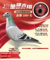 图片暂时未上传