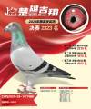 图片暂时未上传