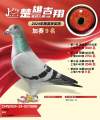 图片暂时未上传
