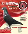 图片暂时未上传