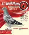 图片暂时未上传