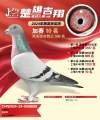 图片暂时未上传
