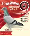 图片暂时未上传