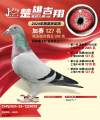 图片暂时未上传