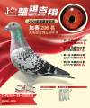 图片暂时未上传