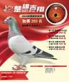 图片暂时未上传