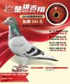 图片暂时未上传