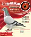 图片暂时未上传