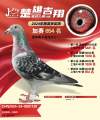 图片暂时未上传