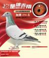 图片暂时未上传