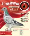 图片暂时未上传
