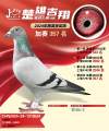 图片暂时未上传