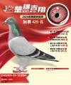 图片暂时未上传
