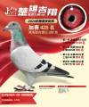 图片暂时未上传