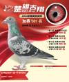 图片暂时未上传