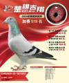 图片暂时未上传