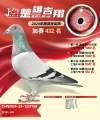 图片暂时未上传