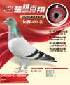 图片暂时未上传