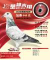 图片暂时未上传