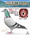 图片暂时未上传