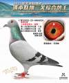 图片暂时未上传