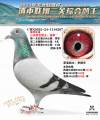 图片暂时未上传