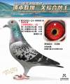 图片暂时未上传