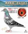 图片暂时未上传