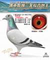 图片暂时未上传