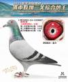 图片暂时未上传