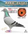 图片暂时未上传