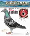 图片暂时未上传